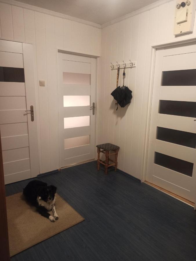 Apartament Za Rogiem Papierni 두슈니키 즈드로지 외부 사진